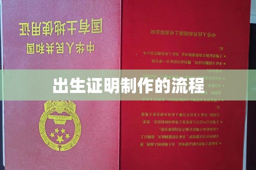 大方出生证明制作的流程