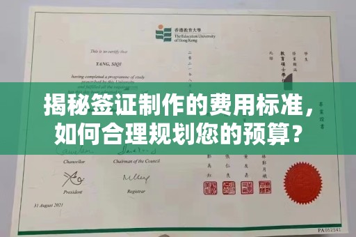 大方揭秘签证制作的费用标准，如何合理规划您的预算？