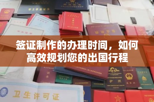 大方签证制作的办理时间，如何高效规划您的出国行程