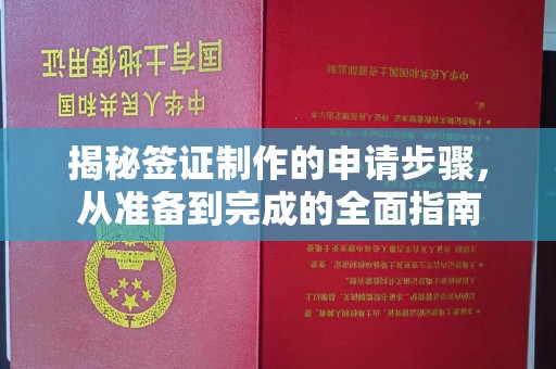 大方揭秘签证制作的申请步骤，从准备到完成的全面指南