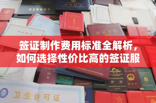 大方签证制作费用标准全解析，如何选择性价比高的签证服务？