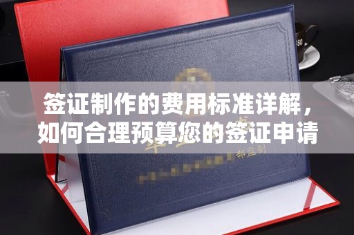 大方签证制作的费用标准详解，如何合理预算您的签证申请成本